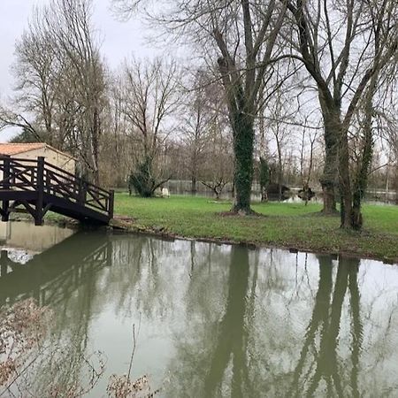 Maison Terrasse Proche Centre Ville Et Ile De Re Ла Рошел Екстериор снимка